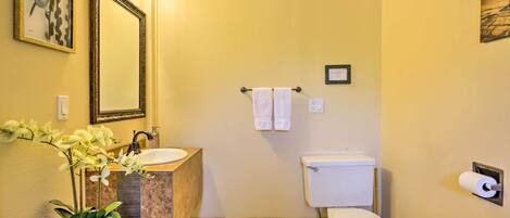 A bathroom with a sink, mirror, toilet, and a potted orchid.