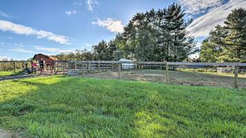 獨棟房屋 (1 Bedroom) | 住宿內部