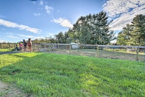 Casa (1 Bedroom) | Interior