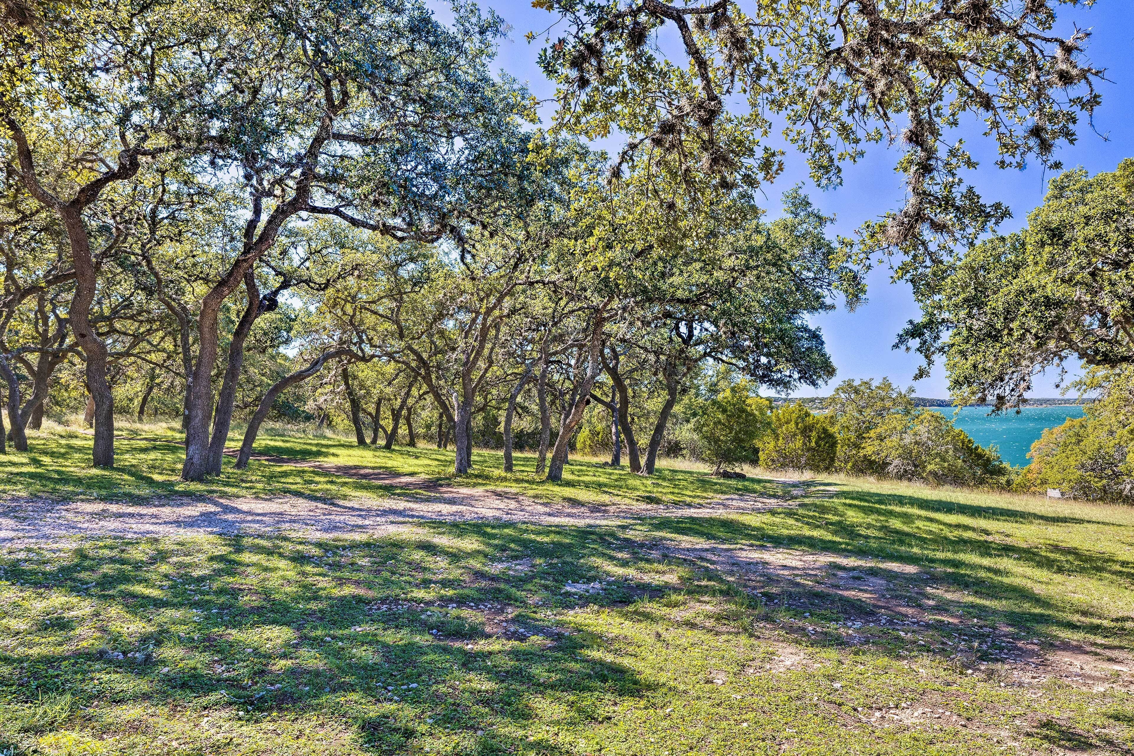 A park with trees and a view of the water.