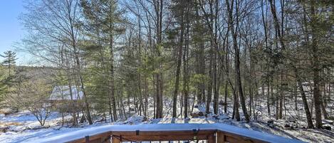 Huis (2 Bedrooms) | Interieur