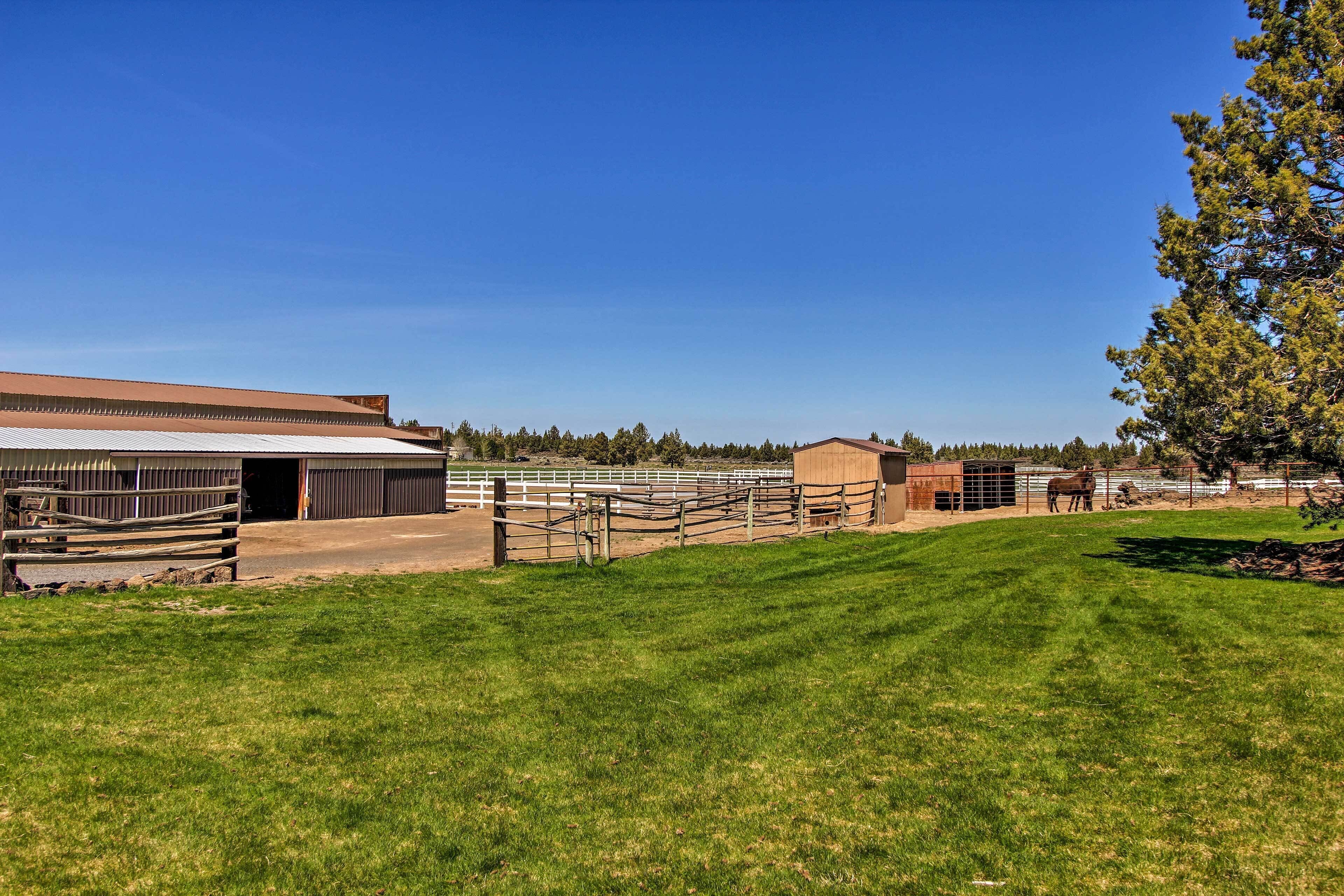 Un écurie avec des chevaux, un espace clôturé et un bâtiment comprenant un grand garage.