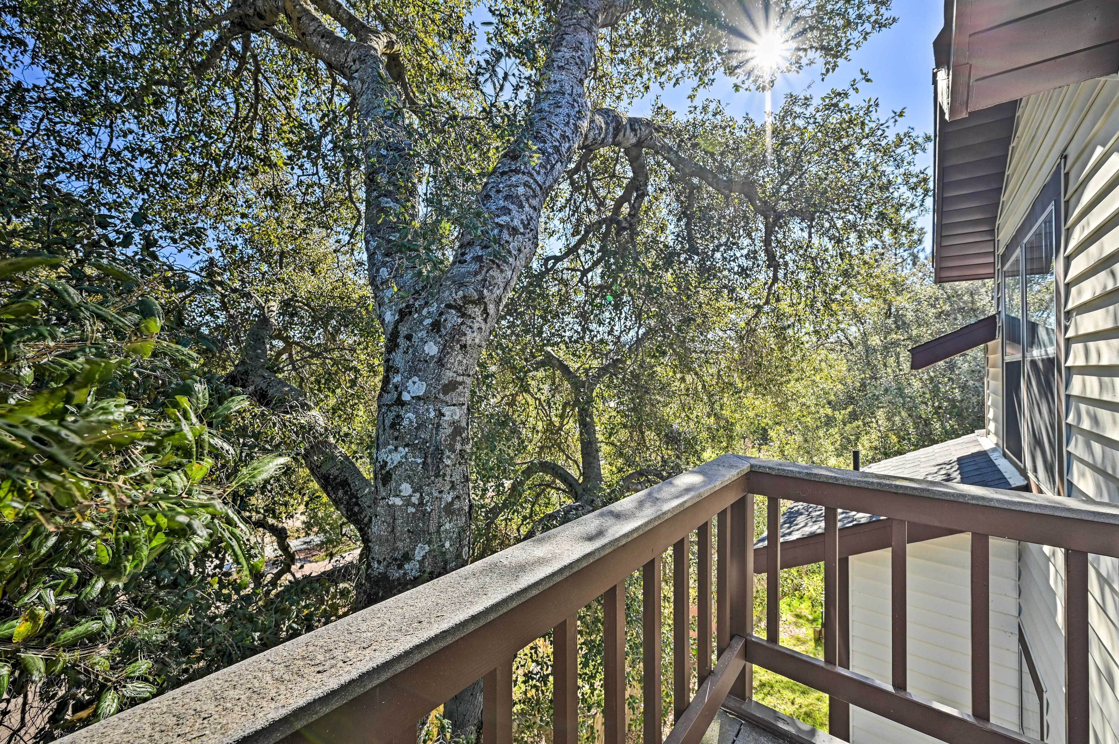 Un balcon en bois, doté d’une balustrade, offre une vue sur un paysage verdoyant et luxuriant, parsemé d’arbres, sous un ciel bleu clair.