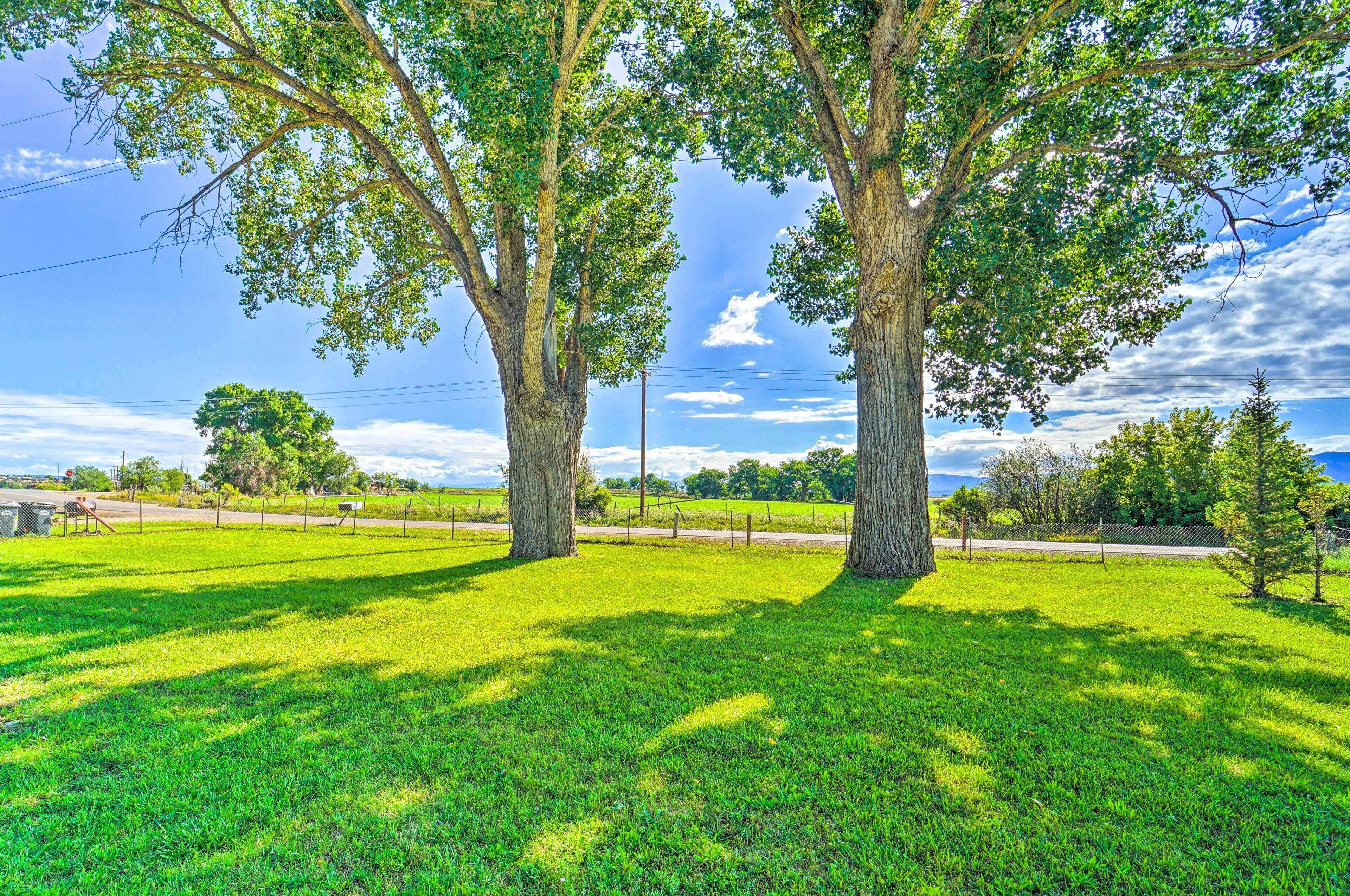 Modern Cortez Mountain Retreat w/ Yard & View
