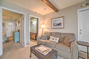 TV, fireplace, books