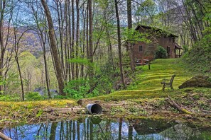 House (3 Bedrooms) | Interior - Spacious Maggie Valley Cabin w/ Hot Tub & MTN View (Maggie Valley)