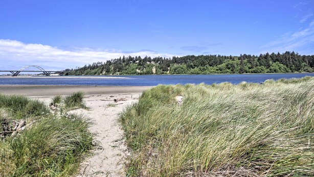 A beach with a sandy path leading to the water, surrounded by grass.