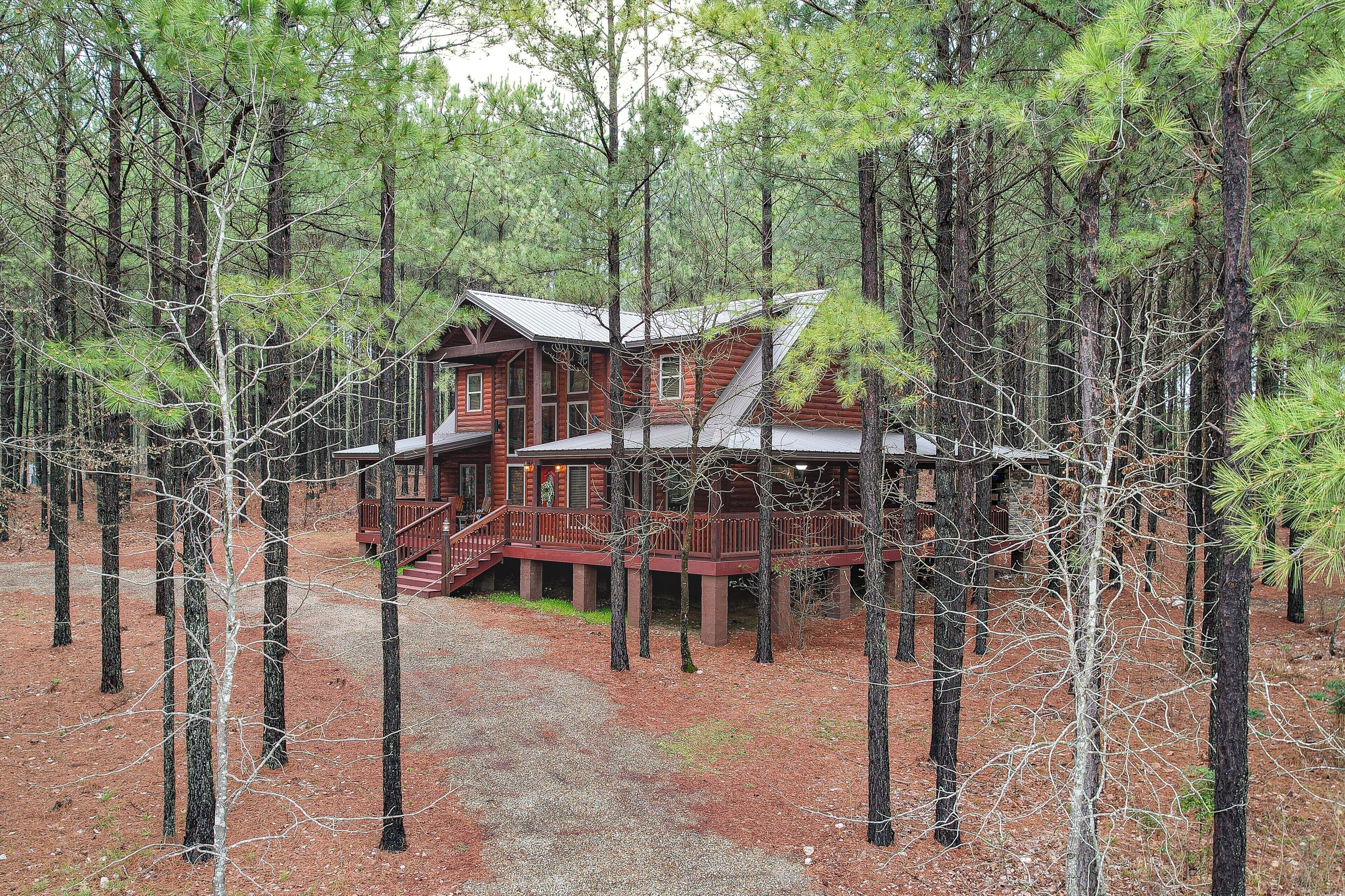 A log cabin with a porch and multiple windows, surrounded by tall pine trees.