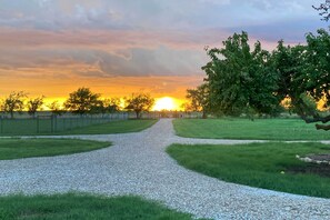 Appartement (2 Bedrooms) | Intérieur