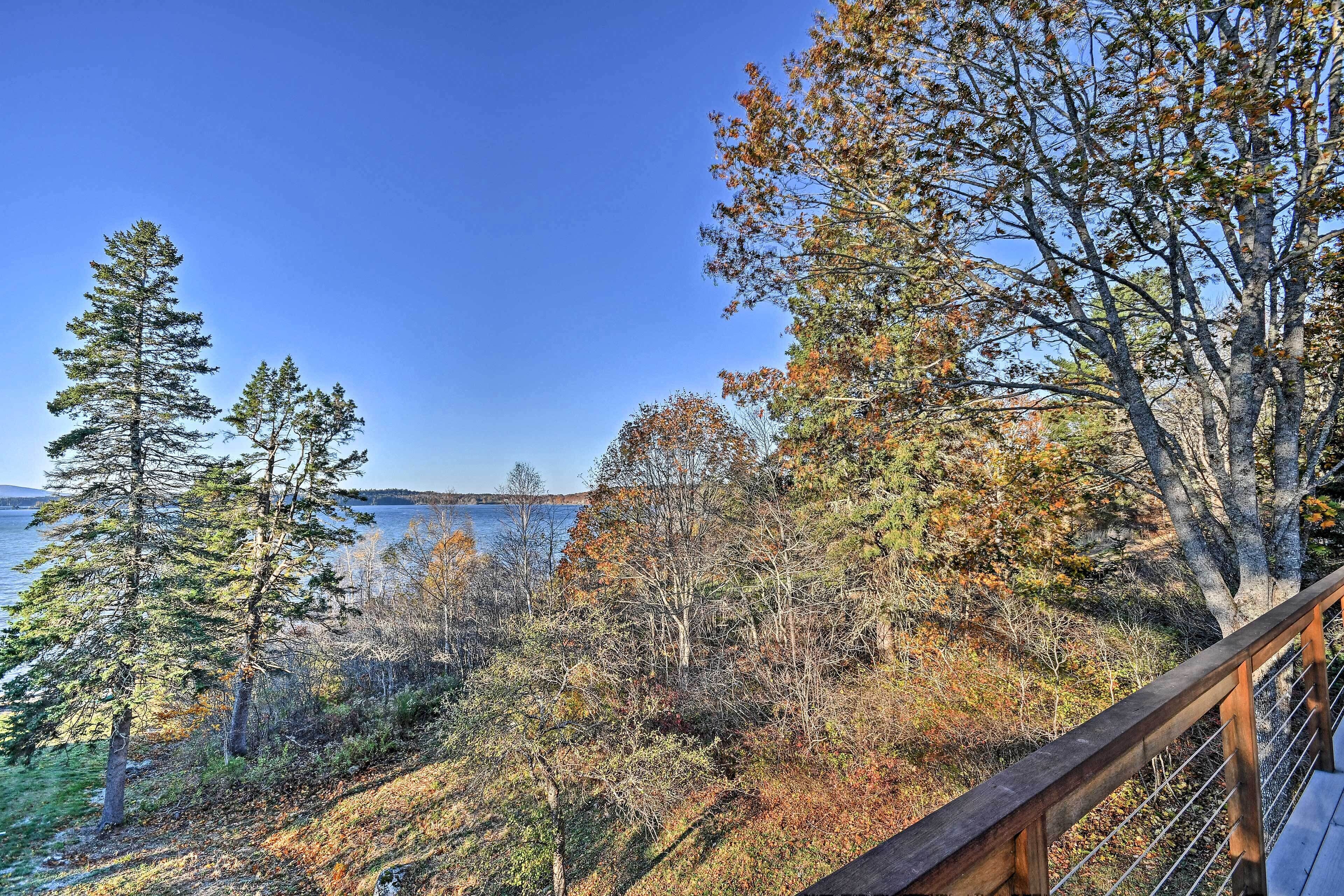 A scenic view of a forested area with a wooden deck overlooking a body of water.