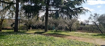 PANORAMIC VILLA