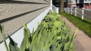 Exterior detail - The Bodin-ski House (Bayfield)