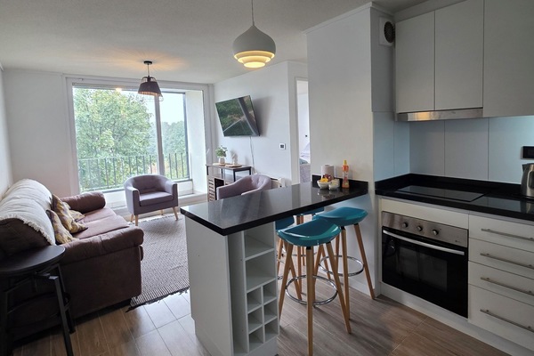 Căn hộ, 2 phòng ngủ (420) | Khu phòng khách | TV LED 40-inch có truyền hình kỹ thuật số, TV, Netflix