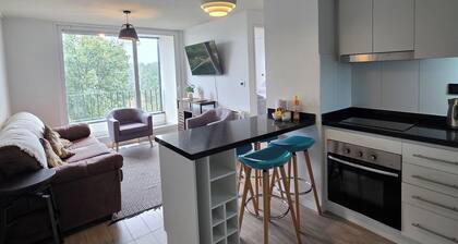 Departamento céntrico Isla teja 19