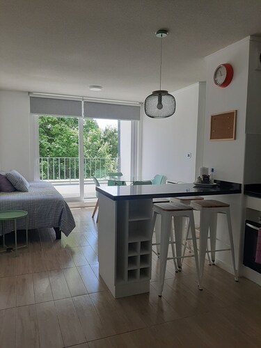 Departamento céntrico Isla teja 19