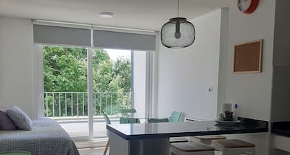 Departamento céntrico Isla teja 19