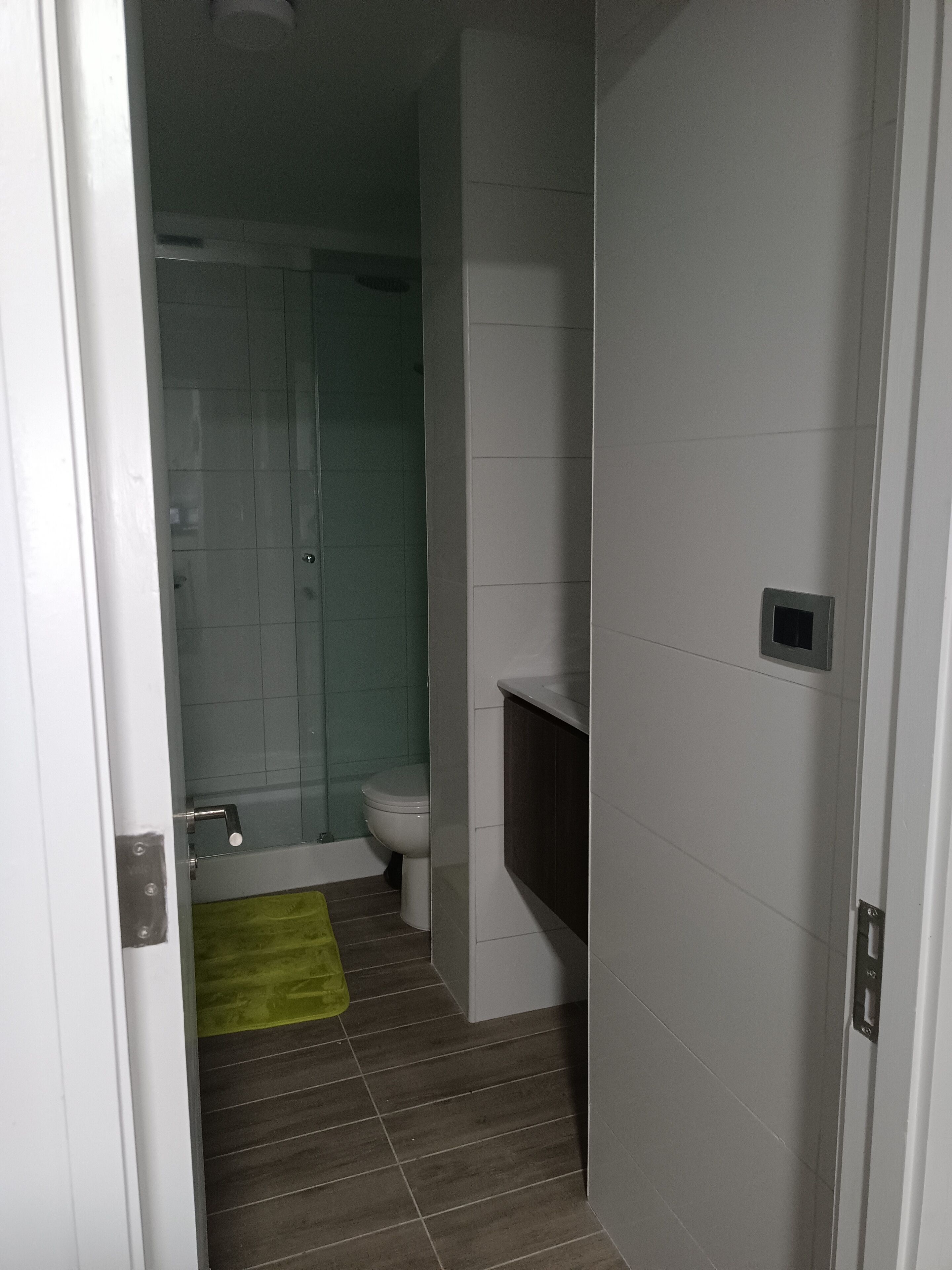 Un baño con inodoro, zona de ducha y una alfombra verde en el suelo.