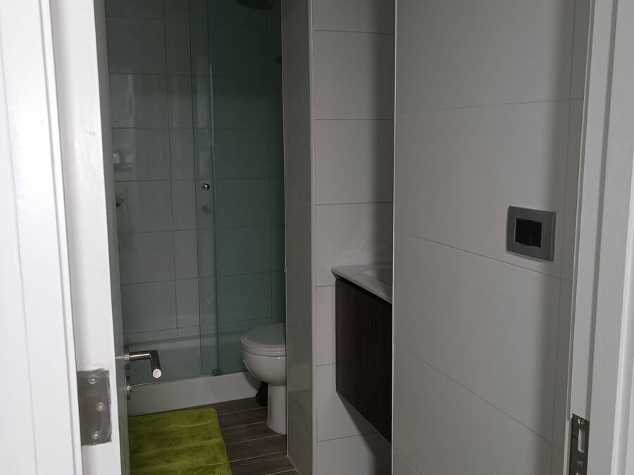 Un baño con inodoro, zona de ducha y una alfombra verde en el suelo.