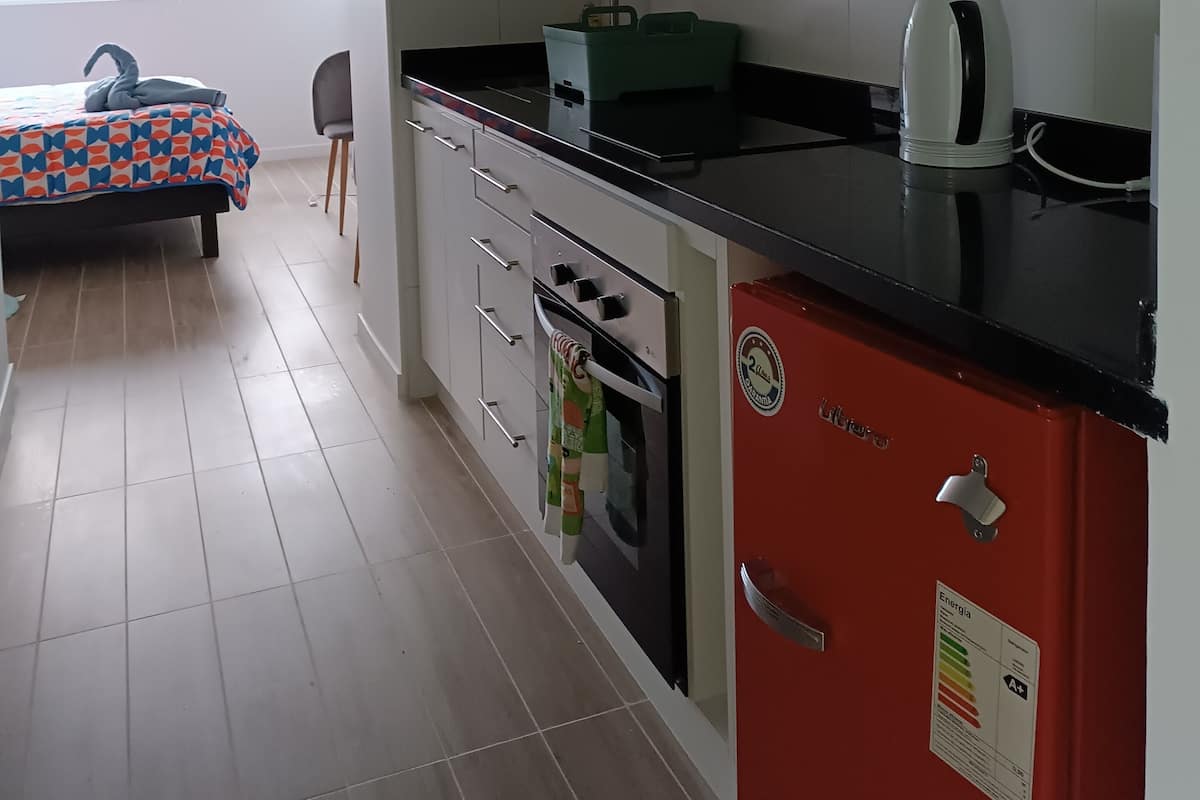Basic Studio | Private kitchen | Mini-fridge, microwave, oven, paper towels