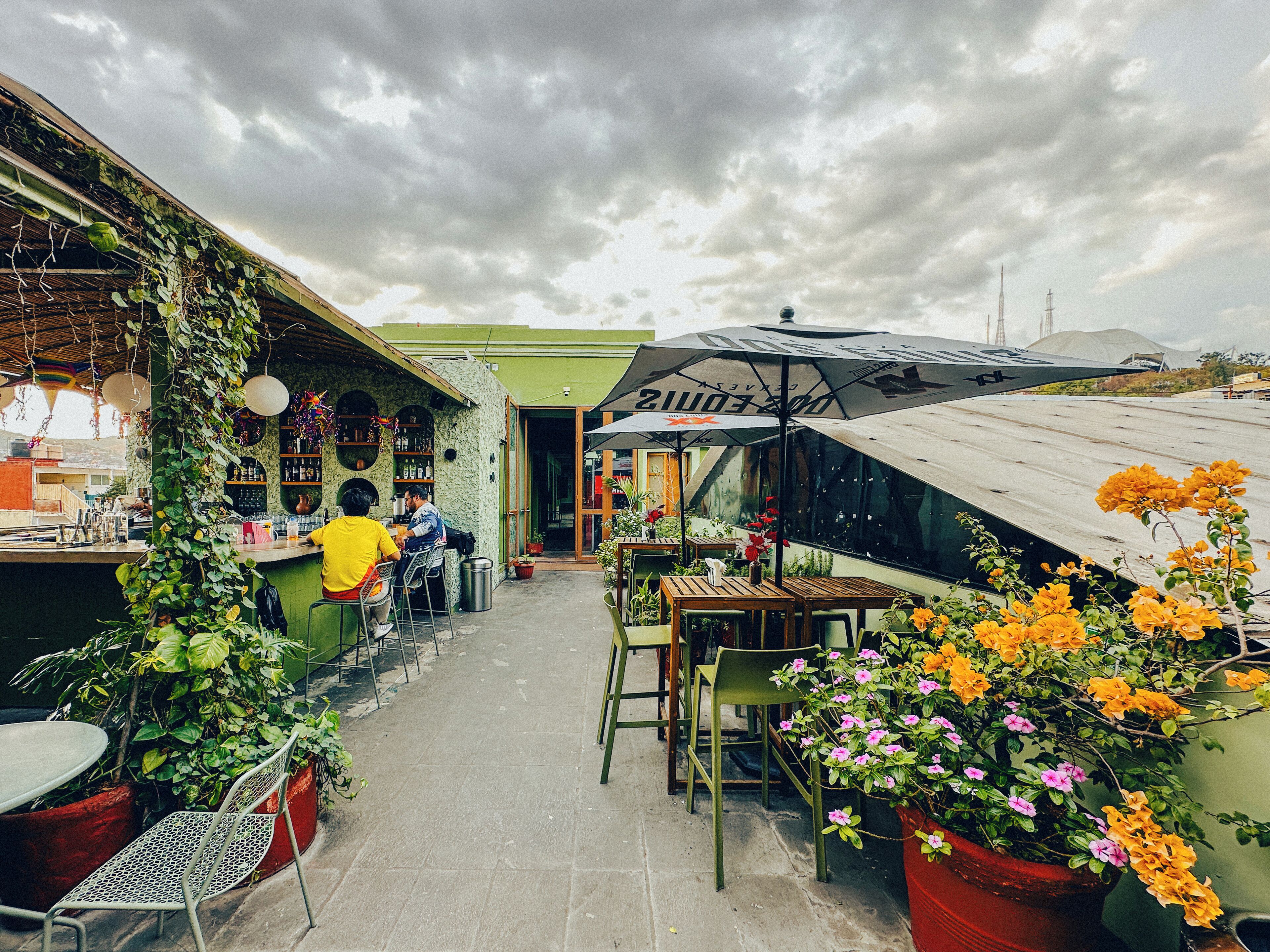 Un café al aire libre con mesas y sillas, una zona de bar y plantas en macetas.