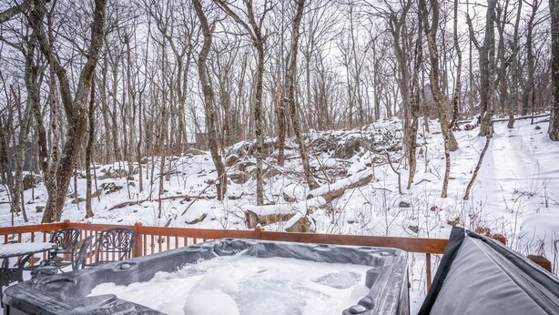 Un bain à remous sur une terrasse, avec une forêt enneigée en arrière-plan.