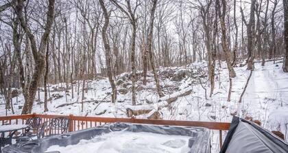 Hot Tub Pool Pac Man Foosball Dogs OK Tennis Golf