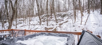 Hot Tub Pool Pac Man Foosball Dogs OK Tennis Golf