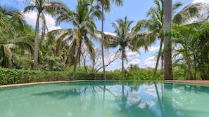 Pool - Quinta La Valentina  -  Yucatan Home Rentals (Mérida)