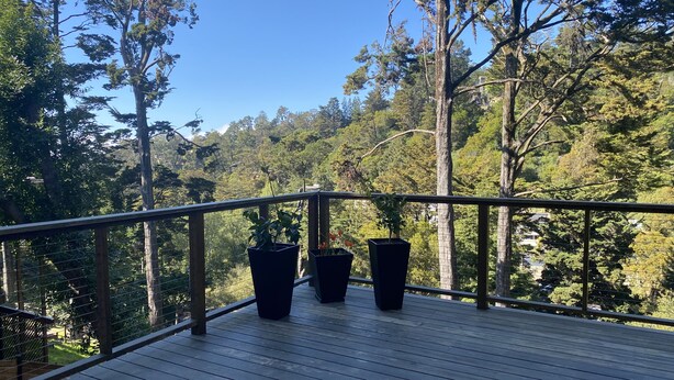 Un ponte di legno con ringhiera, circondato da alberi e un cielo sereno.