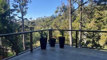 Una terraza de madera con barandilla, rodeada de árboles y un cielo despejado.