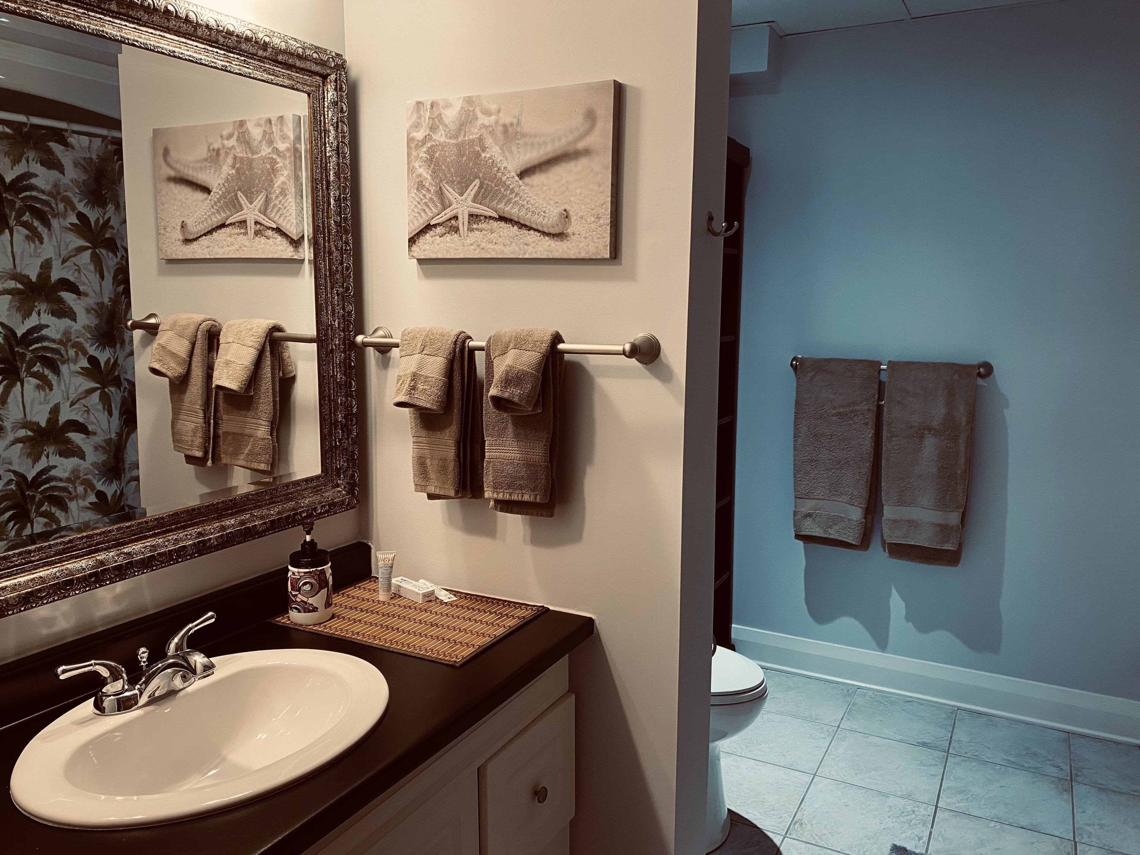 Charming Gateway to Wonderful Collingwood