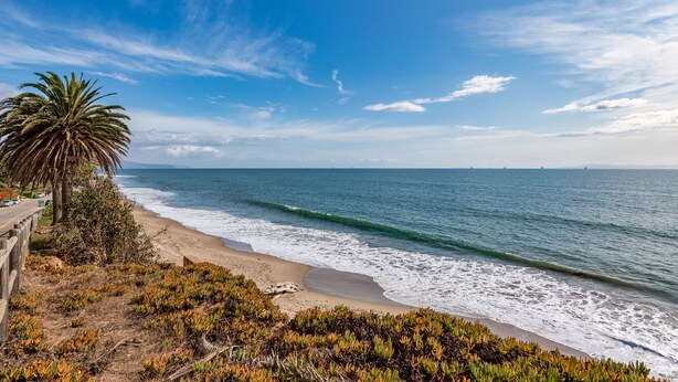 A beach with a palm tree and sea views. - Comfortable Montecito Studio Cottage Walking Distance to Beach! (Santa Barbara)
