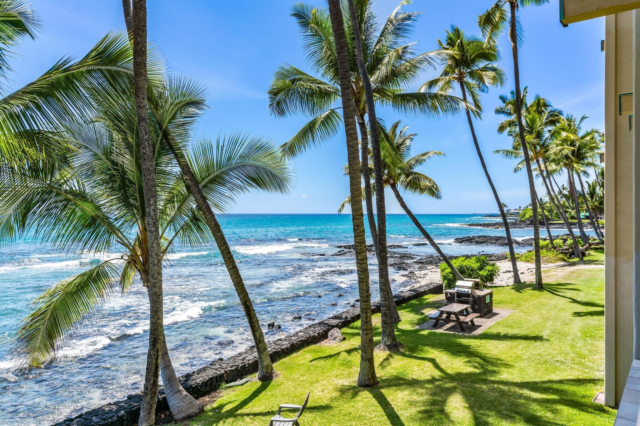 A beachfront view with palm trees and a clear sky.