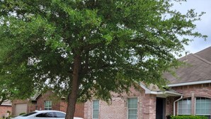 Una casa residencial con un camino de entrada, un coche blanco estacionado y un árbol en primer plano.