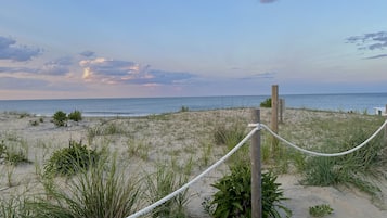 Plage, chaises longues