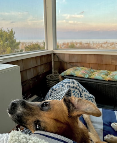 3 Bedroom/Dog friendly/direct ocean views!