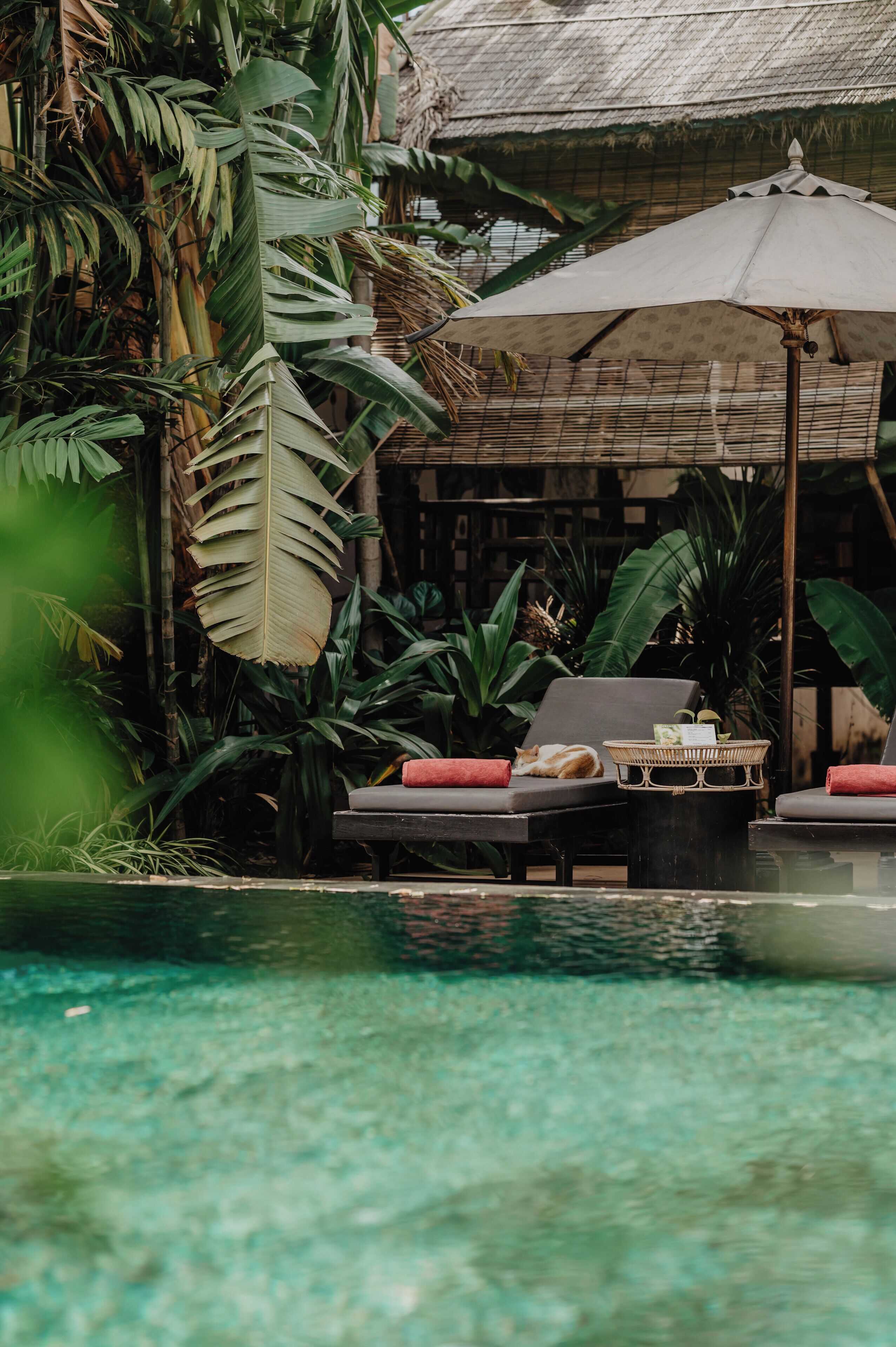 Foto - La Bastide de Caro