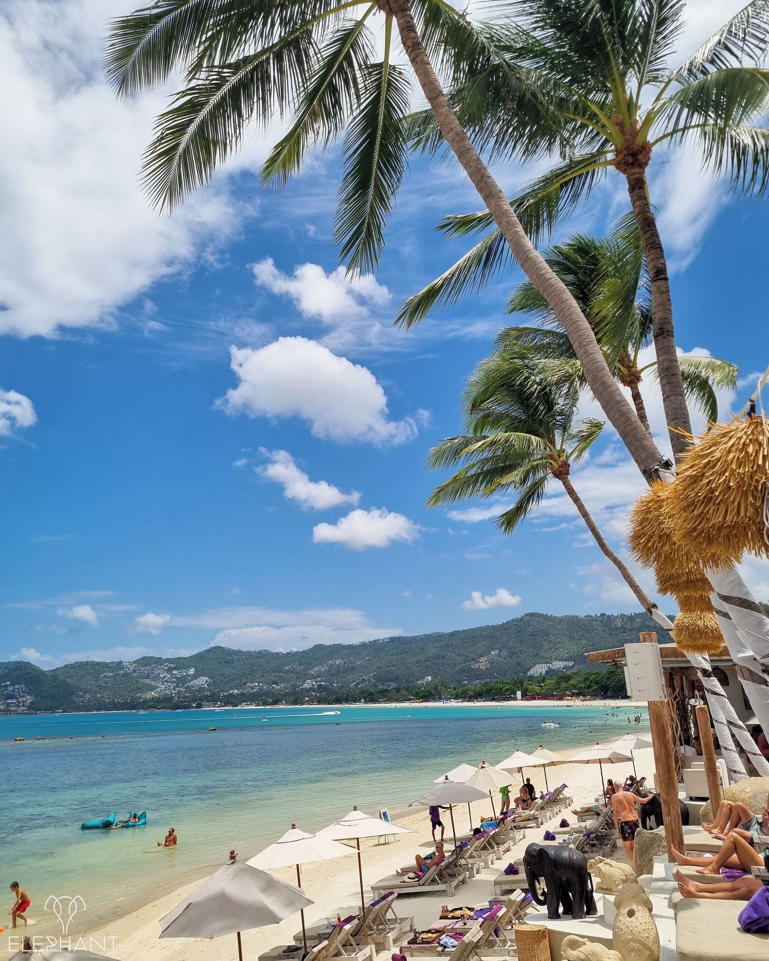 A beach with palm trees, lounge chairs, umbrellas, and a clear view of the sea and distant hills.