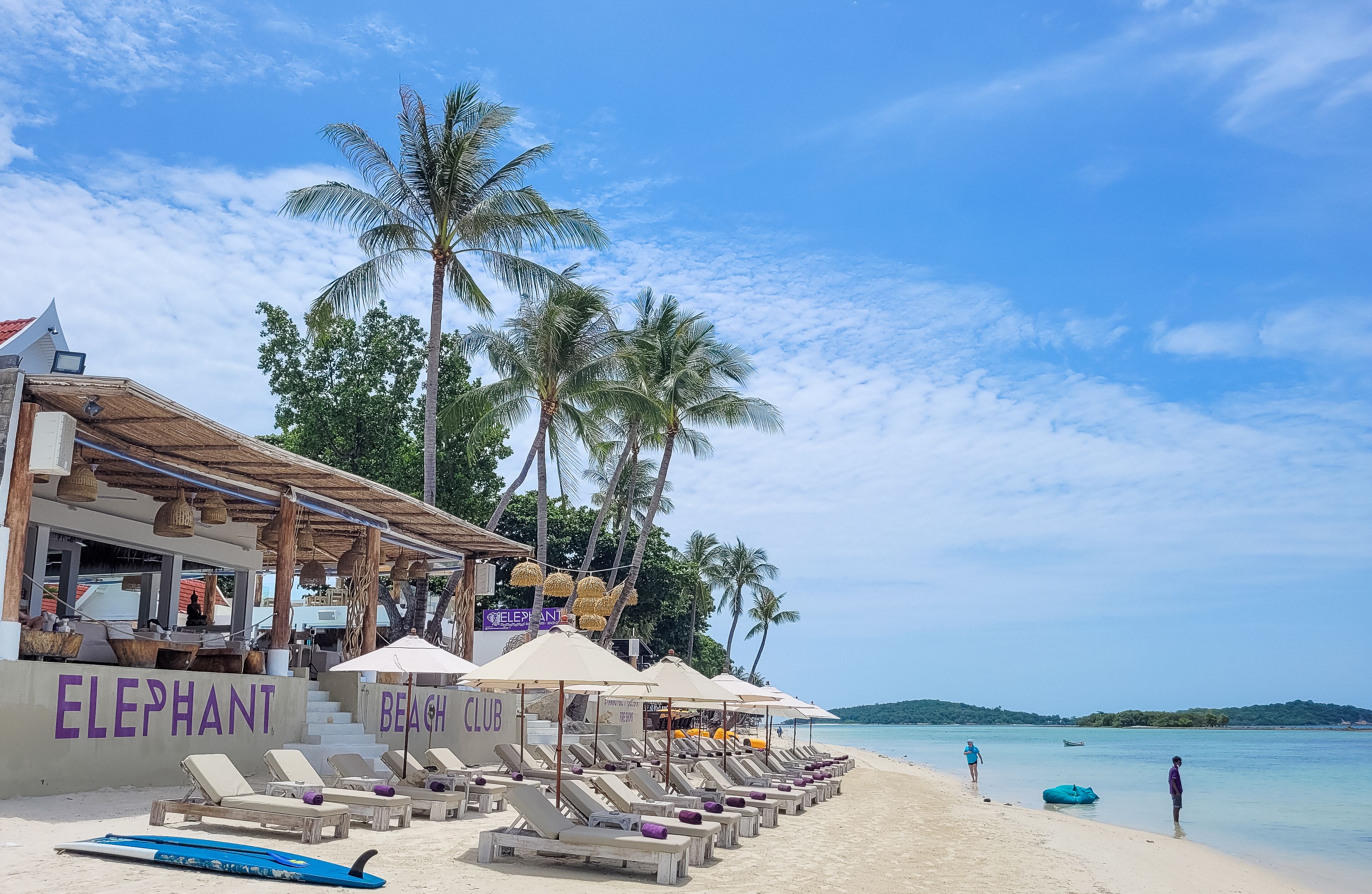 Un club de playa con sillones y sombrillas, palmeras y cielo despejado.
