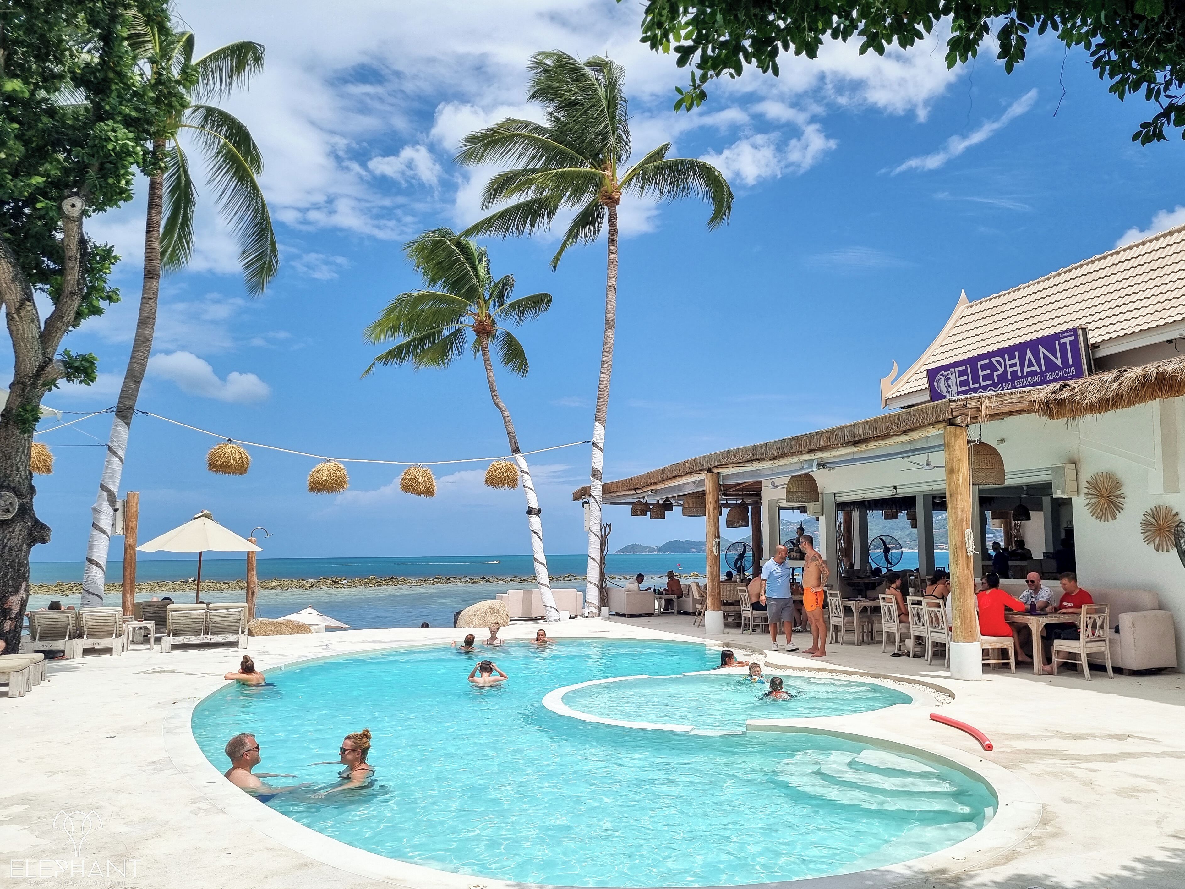 A pool area with palm trees, lounge chairs, and a beach view.