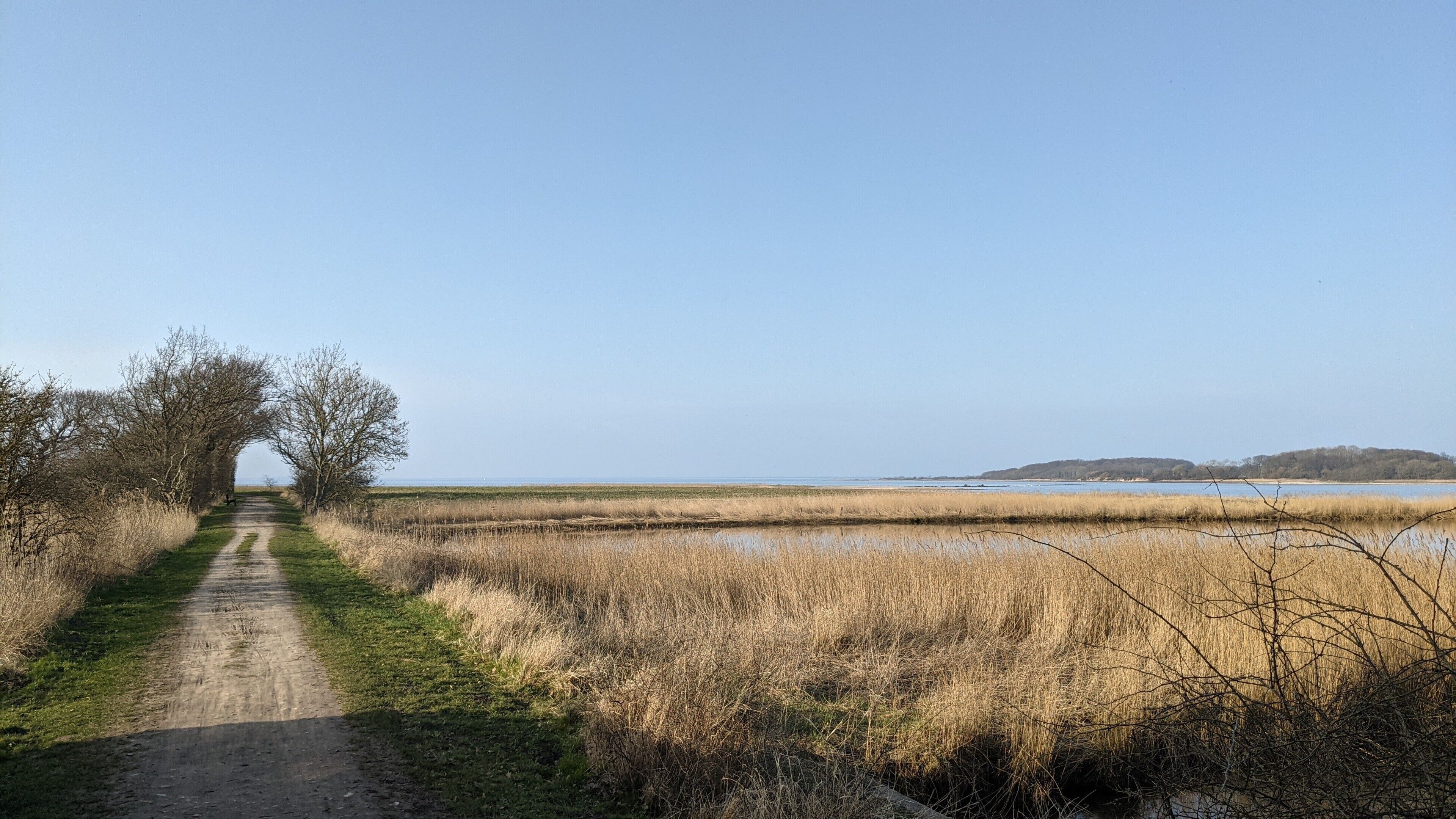 A rural path leading to a body of water with a clear sky.