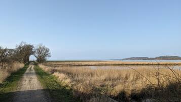 A rural path leading to a body of water with a clear sky.
