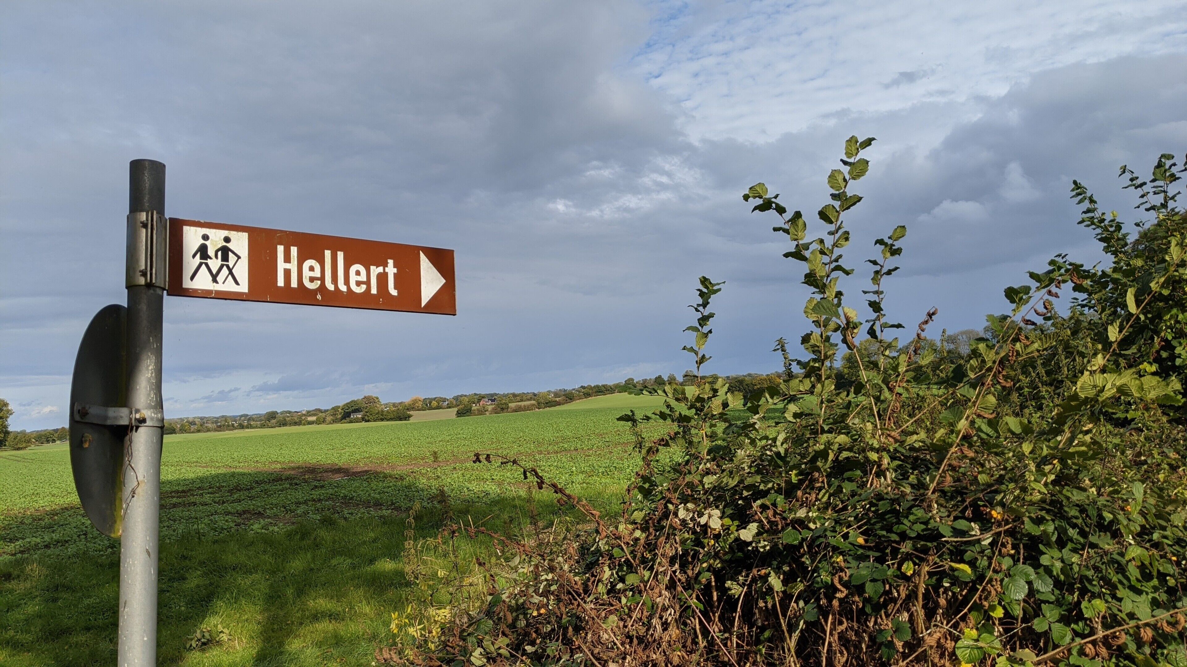 Ein Wegweiser mit einem Wandersymbol und der Aufschrift 'Hellerst', das nach rechts weist.