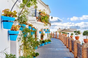 Stroll through a charming street lined with historic buildings, adorned with lush greenery and terracotta roof tiles.