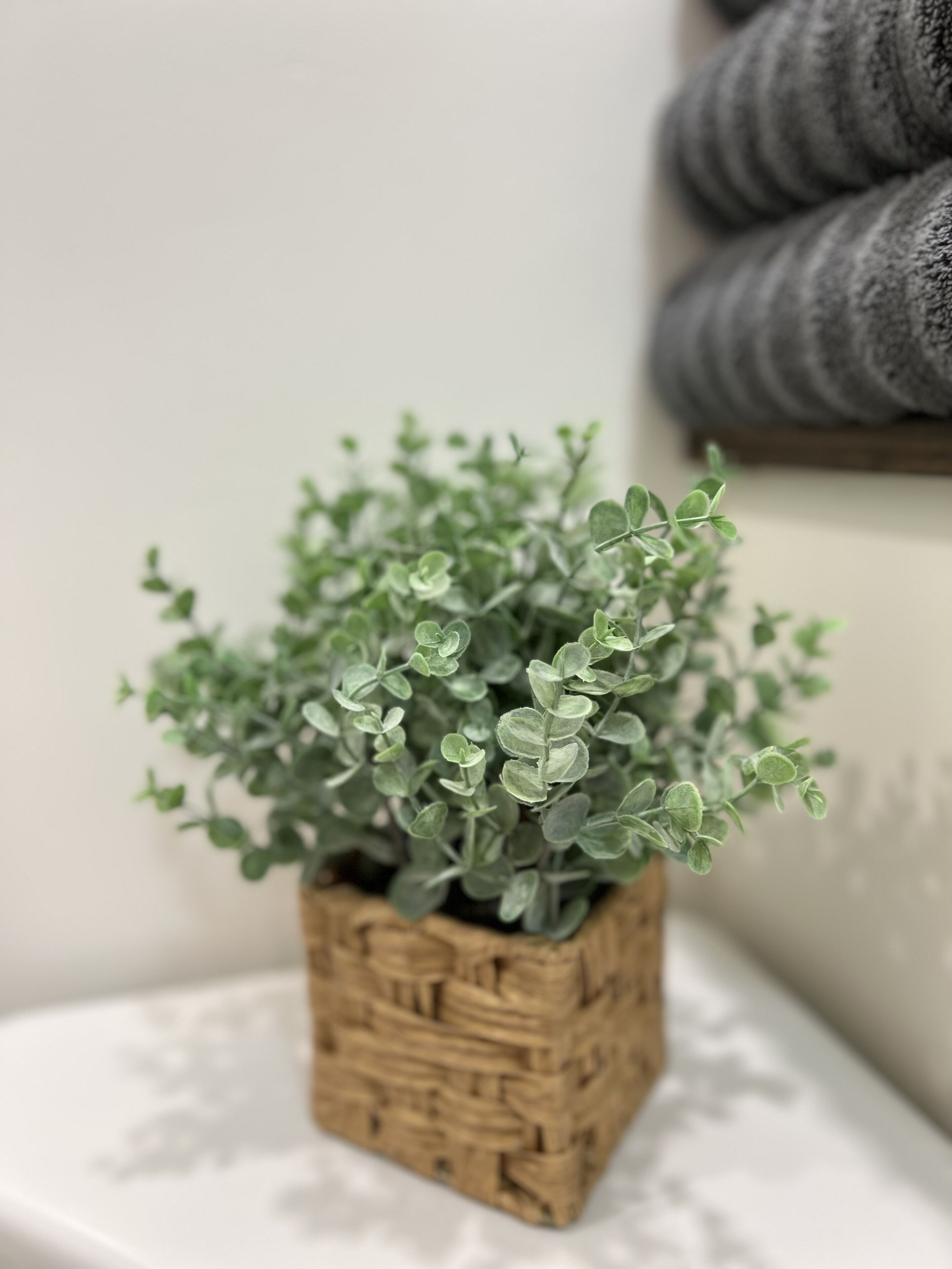 Una planta en maceta con follaje verde en una cesta tejida sobre una superficie blanca.