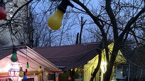 A stone house with a tiled patio, a wooden door, and a small garden area with flowers and a hose. - Mimihouse (Tbilisi)