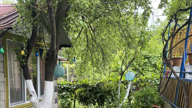 A garden with a paved pathway, a wooden fence, and various plants. - Mimihouse (Tbilisi)