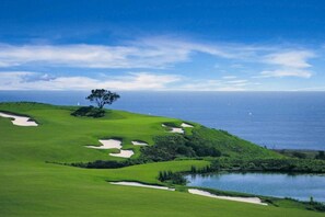 Enjoy a serene golfing experience surrounded by lush greenery and a tranquil ocean view.