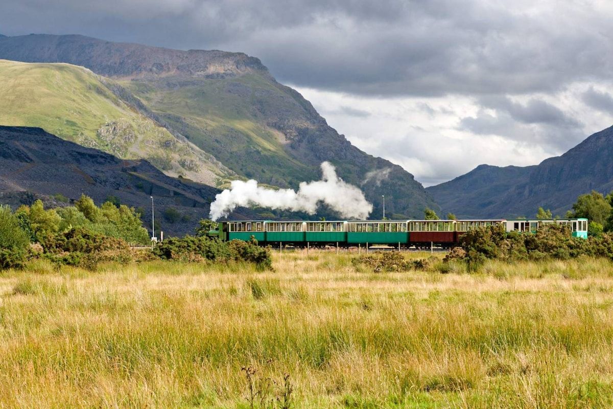 Un train traverse un paysage montagneux, avec un pré verdoyant au premier plan.