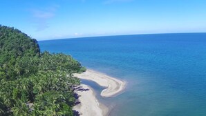 Een strand met een golvende kustlijn, omgeven door weelderige groene begroeiing.